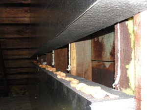 An effective attic insulation system in a Milton home