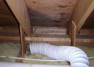 Attic mold problem in a New York home